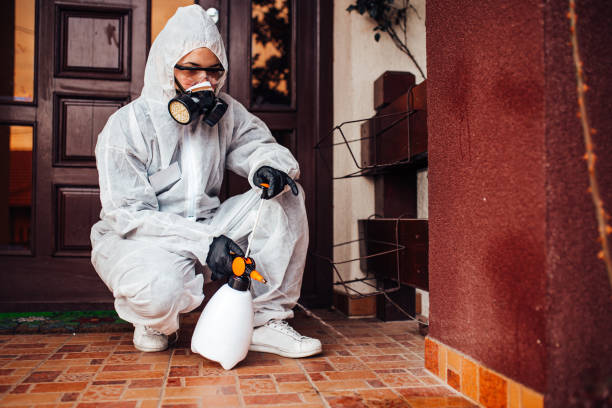 Reliable Wasp Removal contractor in Somers Point, NJ by Show Me Pest Control